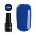 Color IT Premium 2960