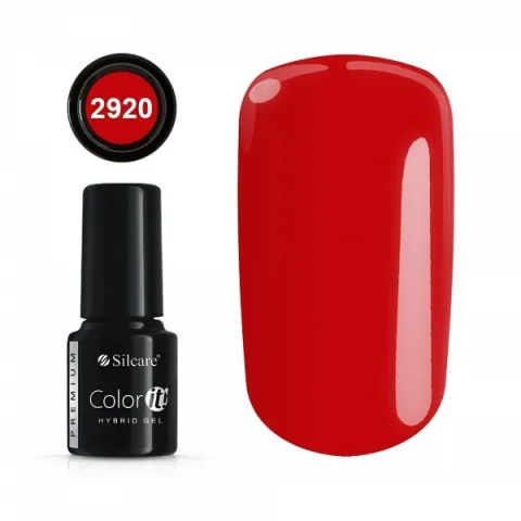 Color IT Premium 2920