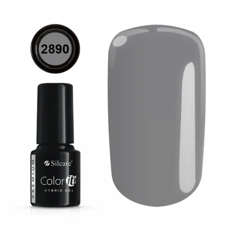 Color IT Premium 2890