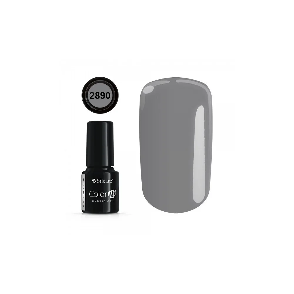 Color IT Premium 2890