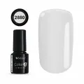 Color IT Premium 2880
