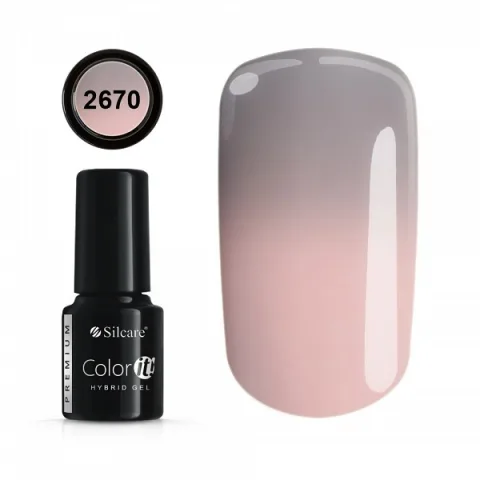COLOR IT PREMIUM 2670