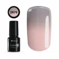 COLOR IT PREMIUM 2670