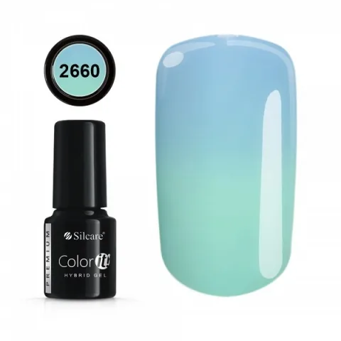 COLOR IT PREMIUM 2660