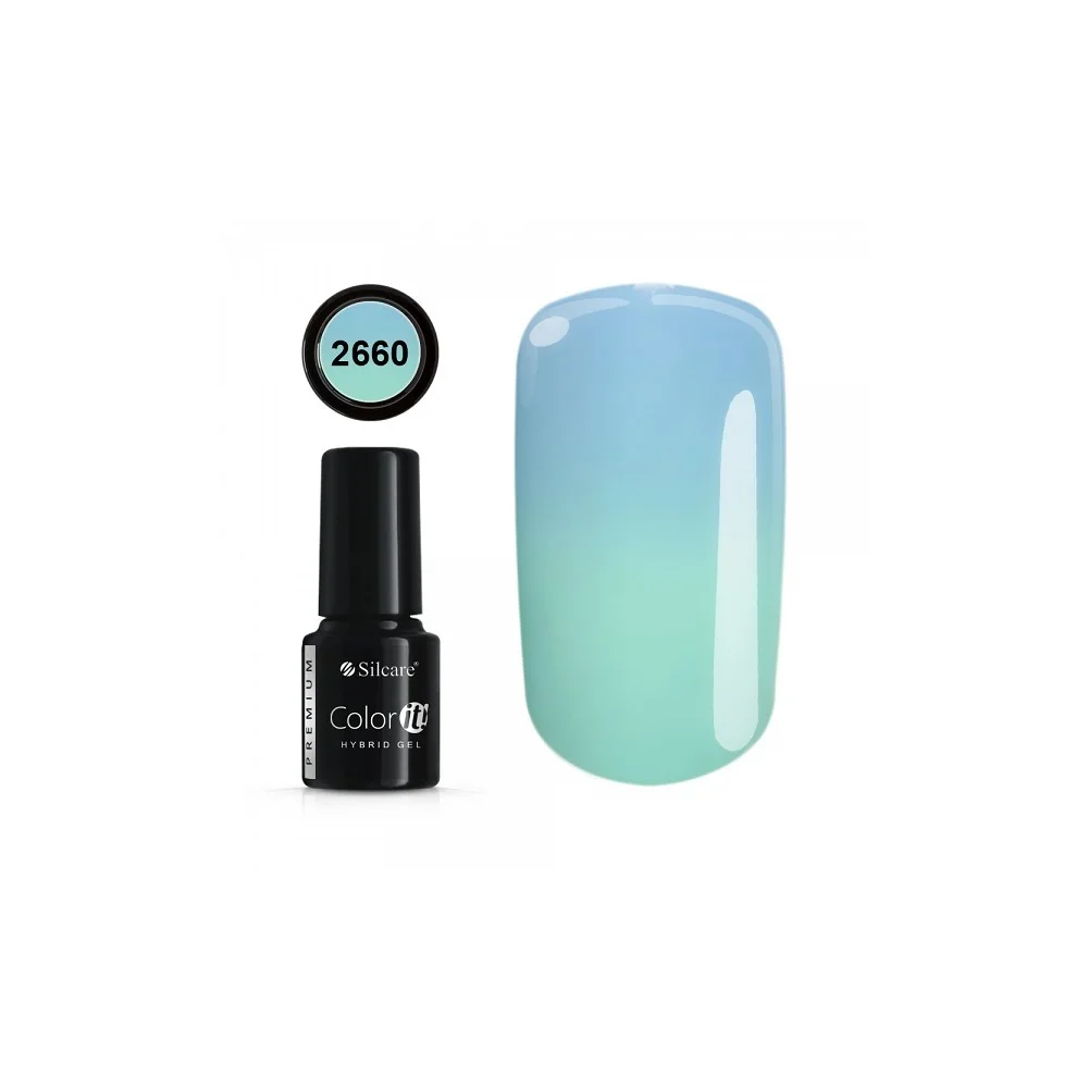 COLOR IT PREMIUM 2660