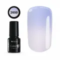 COLOR IT PREMIUM 2650