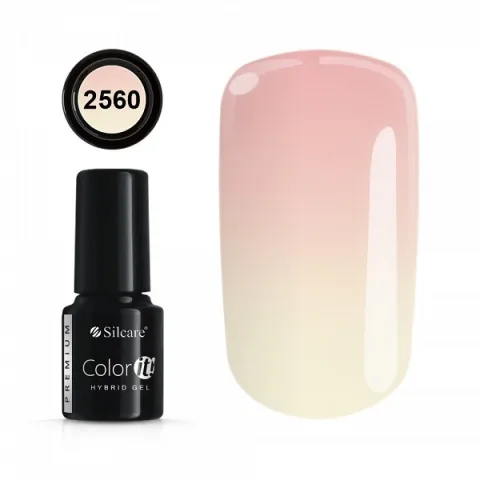 COLOR IT PREMIUM 2560