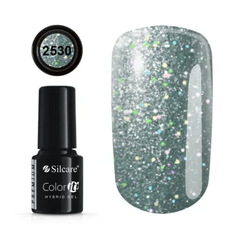 COLOR IT PREMIUM 2530