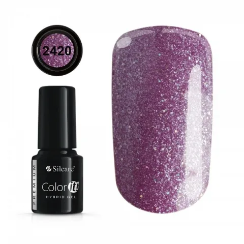 COLOR IT PREMIUM 2420