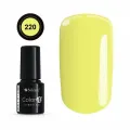 Color IT Premium 220