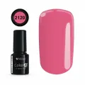 COLOR IT PREMIUM 2120