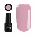 COLOR IT PREMIUM 2110