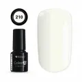 Color IT Premium 210