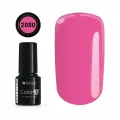 COLOR IT PREMIUM 2080