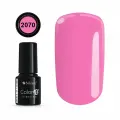 COLOR IT PREMIUM 2070