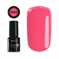 COLOR IT PREMIUM 2040