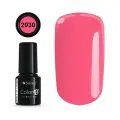 COLOR IT PREMIUM 2030