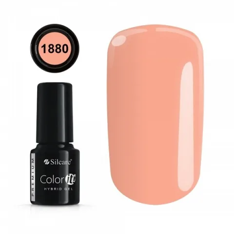 COLOR IT PREMIUM 1880