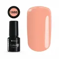 COLOR IT PREMIUM 1880