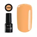 COLOR IT PREMIUM 1830