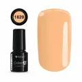 COLOR IT PREMIUM 1820
