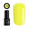 COLOR IT PREMIUM 1790