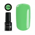 COLOR IT PREMIUM 1730