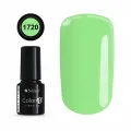 COLOR IT PREMIUM 1720