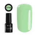 COLOR IT PREMIUM 1710