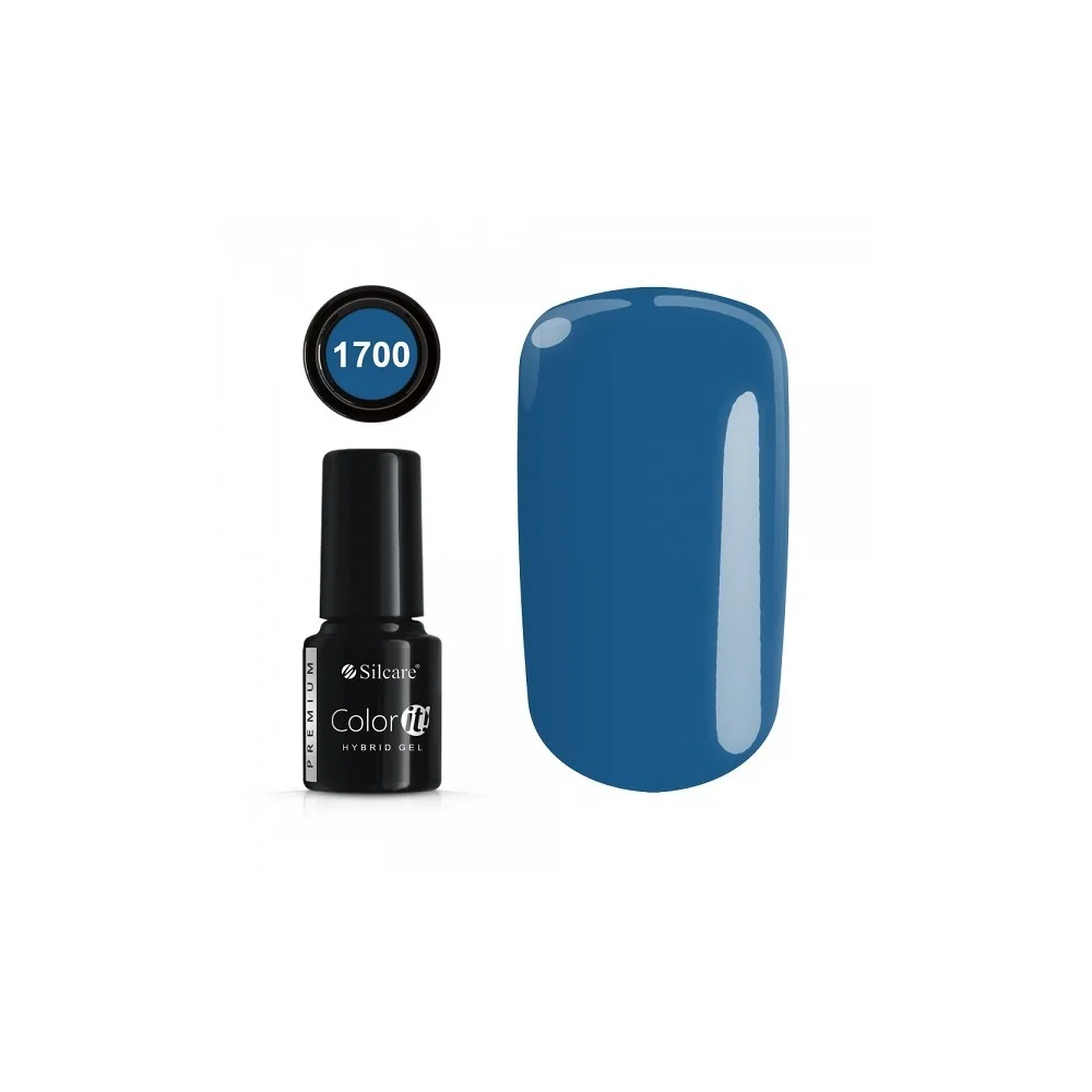 COLOR IT PREMIUM 1700