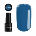 COLOR IT PREMIUM 1700