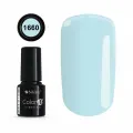 COLOR IT PREMIUM 1660