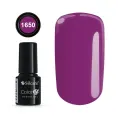 COLOR IT PREMIUM 1650