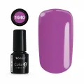 COLOR IT PREMIUM 1640