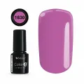 COLOR IT PREMIUM 1630