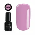 COLOR IT PREMIUM 1620