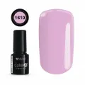 COLOR IT PREMIUM 1610