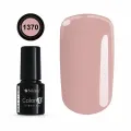 Color IT Premium 1370