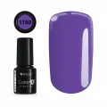 Color IT Premium 1150