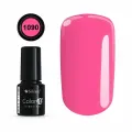 Color IT Premium 1090