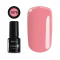 Color IT Premium 1070