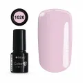 Color IT Premium 1020