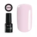 Color IT Premium 1010