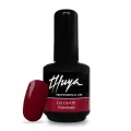 Gel On-Off Passionate