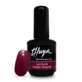 Gel On-Off Burgundy 30