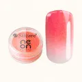 Neon Powder Salmon Pink 3 g