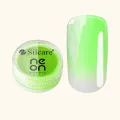 Neon Powder Green 3 g