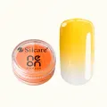 Neon Powder Yellow 3 g