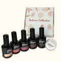 Autumn Collection Thuya