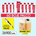 60 Boje Palco + Pjaster & Shampo 10LT Falas